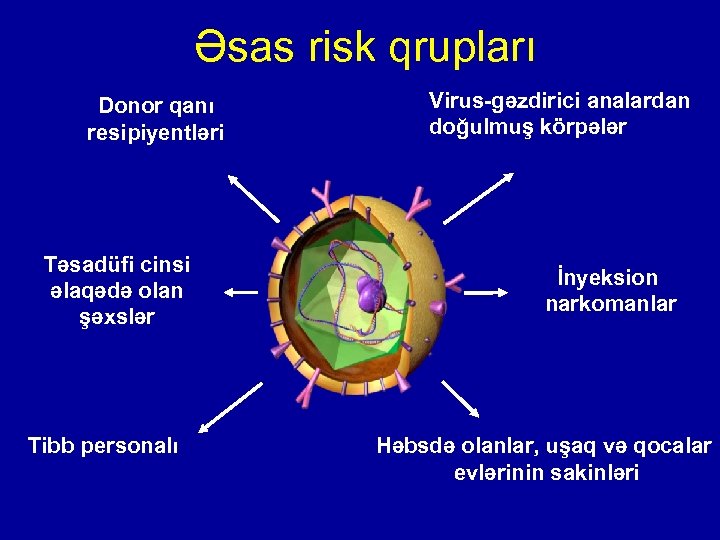 Əsas risk qrupları Donor qanı resipiyentləri Təsadüfi cinsi əlaqədə olan şəxslər Tibb personalı Virus-gəzdirici