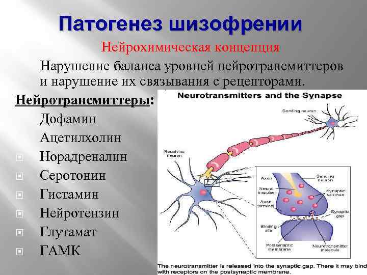 Нейрохимический определитель