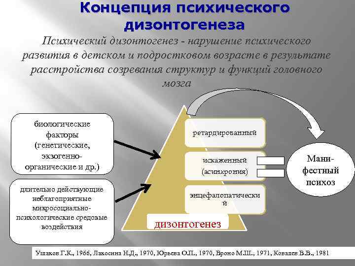 Роль анамнеза в составлении схемы дизонтогенеза