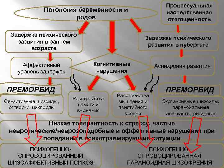 Процессуальная наследственная отягощенность Патология беременности и родов Задержка психического развития в раннем возрасте Задержка