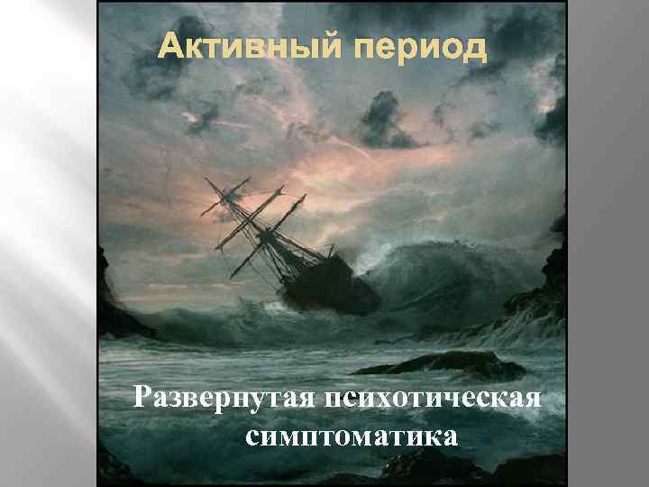 Активный период Развернутая психотическая симптоматика 