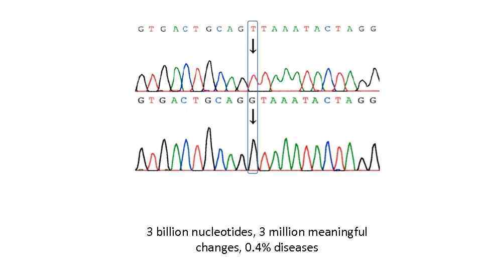 3 billion nucleotides, 3 million meaningful changes, 0. 4% diseases 