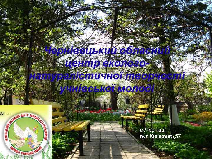 Чернівецький обласний центр екологонатуралістичної творчості учнівської молоді м. Чернівці вул. Кошового, 57 