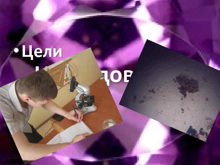  • Цели Исследование 