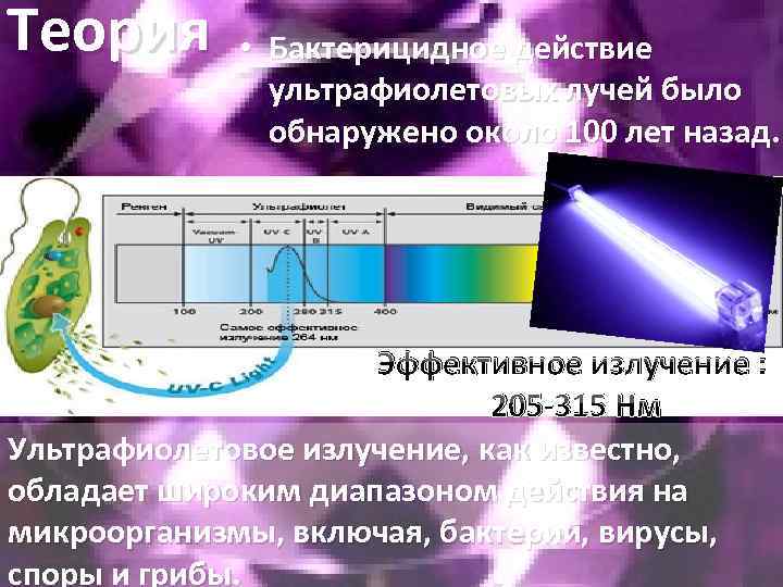 Эффективное излучение. Бактерицидная область ультрафиолетового излучения. Ультрафиолетовое излучение действие ионизирующего излучения:. Бактерицидный диапазон УФ излучения. Действие ультрафиолетовых лучей.