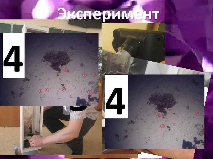 Эксперимент 