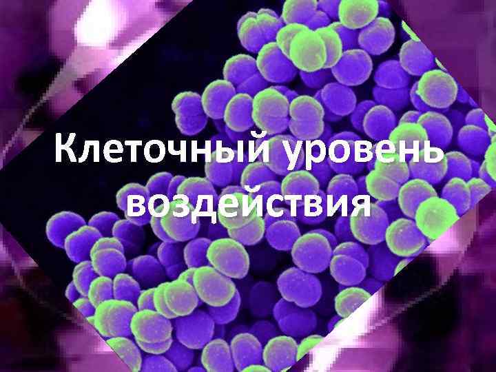 Клеточный уровень воздействия 