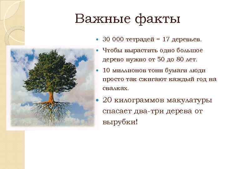 Важные факты 30 000 тетрадей = 17 деревьев. Чтобы вырастить одно большое дерево нужно