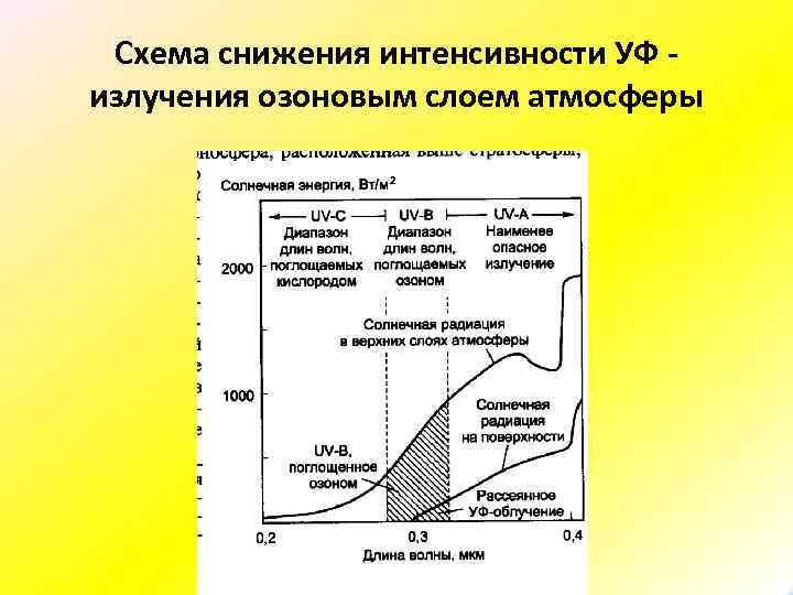 Схема снижения интенсивности УФ излучения озоновым слоем атмосферы 