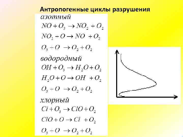 Антропогенные циклы разрушения озона 