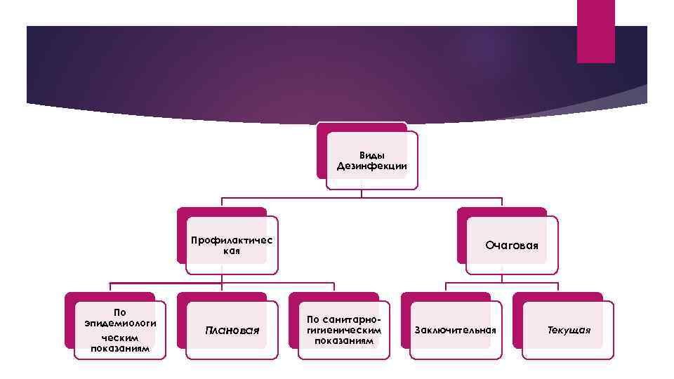 Виды Дезинфекции Профилактичес кая По эпидемиологи ческим показаниям Плановая Очаговая По санитарногигиеническим показаниям Заключительная