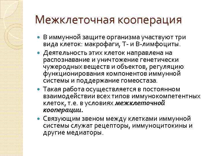 Межклеточная кооперация В иммунной защите организма участвуют три вида клеток: макрофаги, Т- и В-лимфоциты.