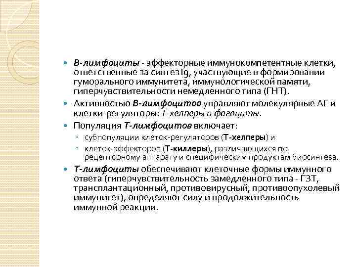В-лимфоциты - эффекторные иммунокомпетентные клетки, ответственные за синтез Ig, участвующие в формировании гуморального иммунитета,