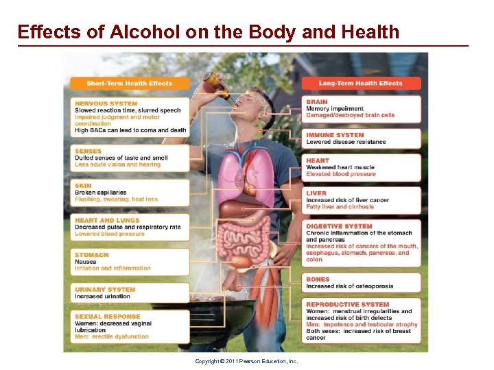 Effects of Alcohol on the Body and Health Copyright © 2011 Pearson Education, Inc.