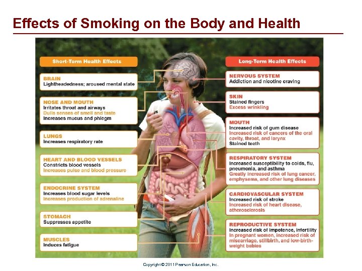 Effects of Smoking on the Body and Health Copyright © 2011 Pearson Education, Inc.