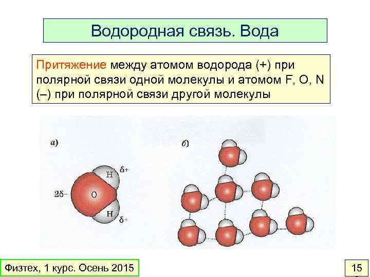 Водородная связь. Вода Притяжение между атомом водорода (+) при полярной связи одной молекулы и