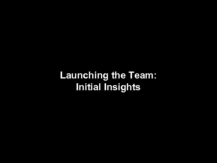 Launching the Team: Initial Insights 
