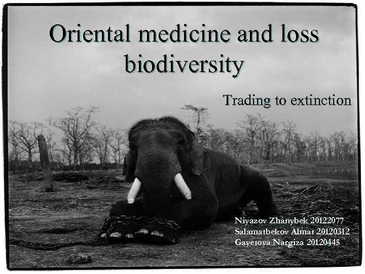 Oriental medicine and loss biodiversity Trading to extinction Oriental medicine and loss biodiversity Niyazov