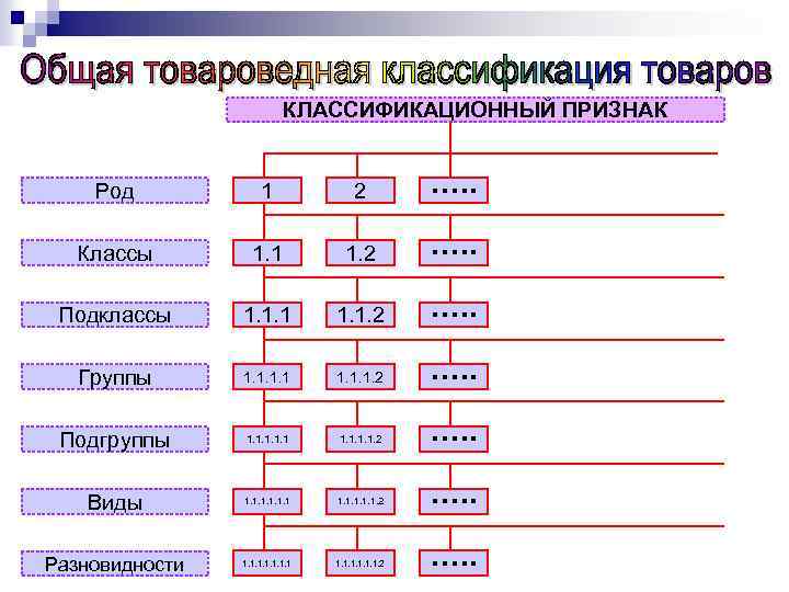 Товароведная характеристика образцов