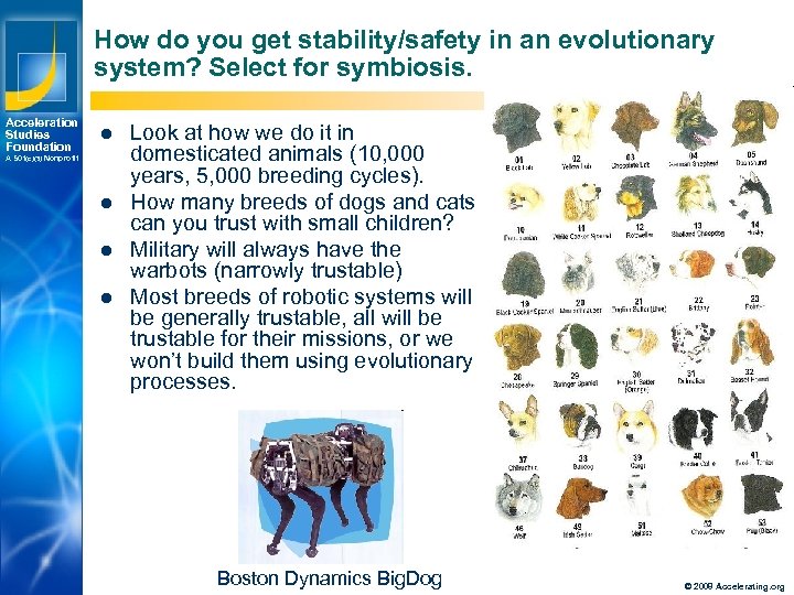 How do you get stability/safety in an evolutionary system? Select for symbiosis. Acceleration Studies