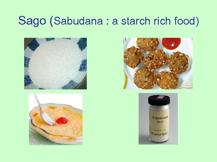 Sago (Sabudana : a starch rich food) 