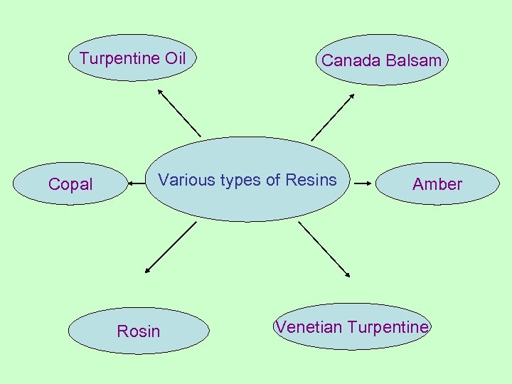 Turpentine Oil Copal Canada Balsam Various types of Resins Rosin Amber Venetian Turpentine 