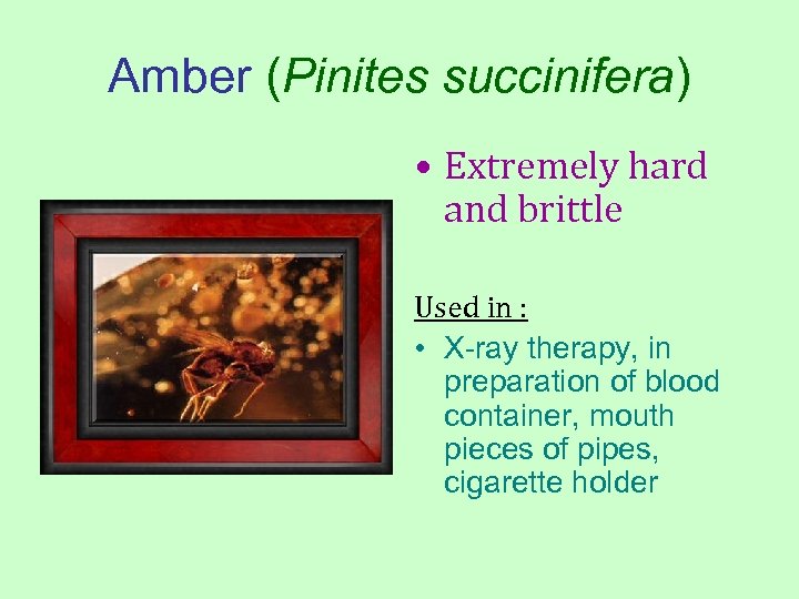 Amber (Pinites succinifera) • Extremely hard and brittle Used in : • X-ray therapy,