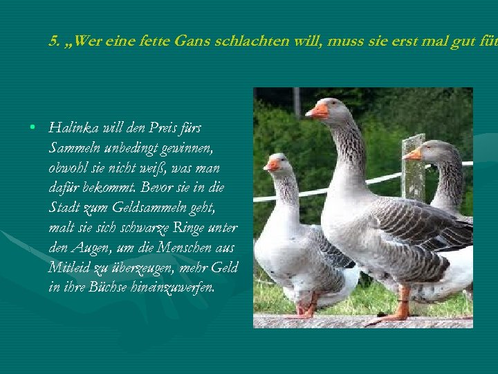 5. „Wer eine fette Gans schlachten will, muss sie erst mal gut füt •