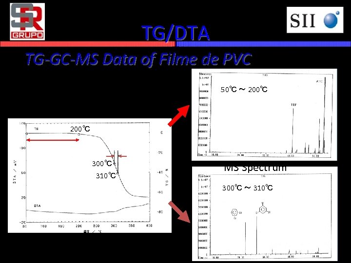TG/DTA TG-GC-MS Data of Filme de PVC 50℃ ～ 200℃ 300℃ 310℃ MS Spectrum