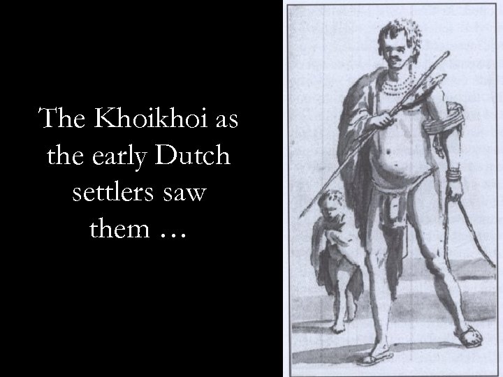 The Khoikhoi as the early Dutch settlers saw them … 