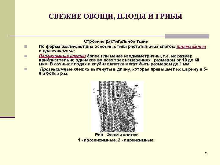 Ткань плода. Паренхимные и прозенхимные клетки. Паренхимные и прозенхимные ткани растений. Прозенхимная форма клеток характерна для. Строение тканей овощей и плодов.