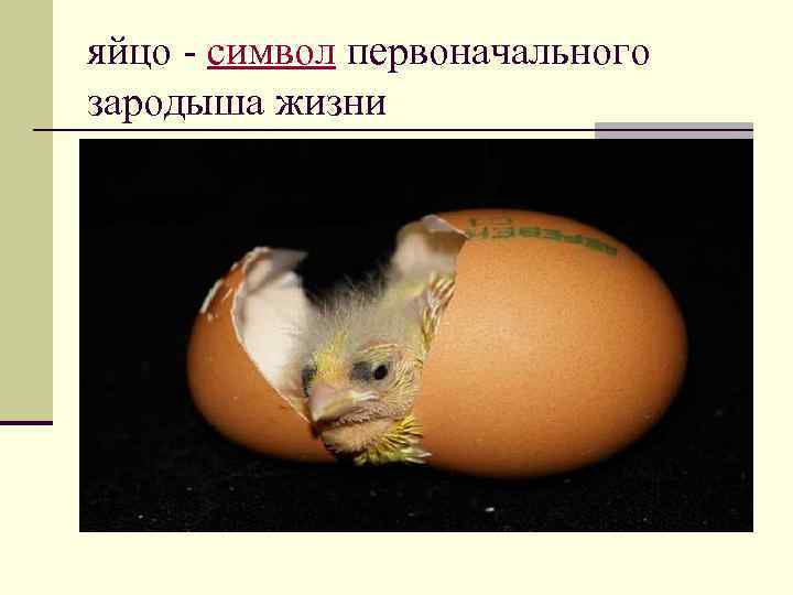 яйцо - символ первоначального зародыша жизни 
