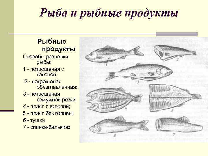 Схема разделки рыбы на филе