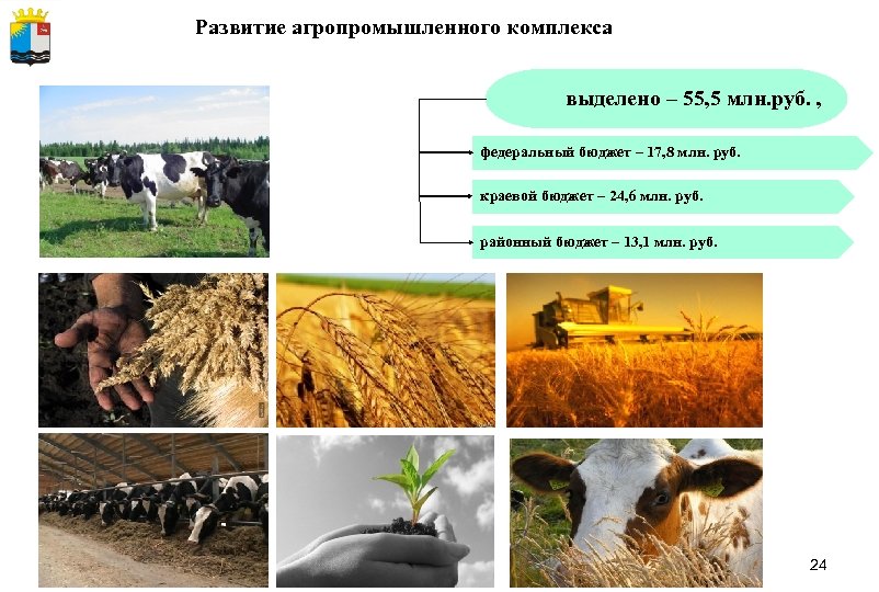 Презентация агропромышленный комплекс кировской области