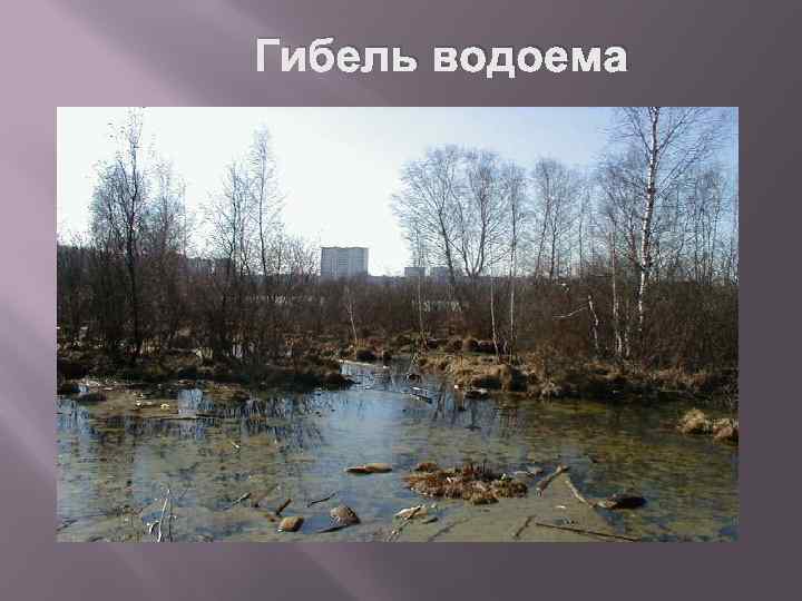 Гибель водоема 