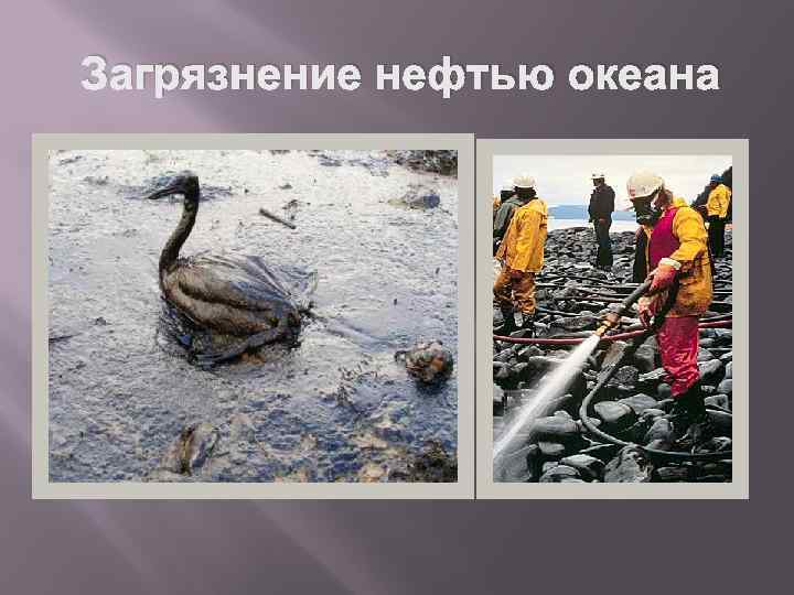 Загрязнение нефтью океана 