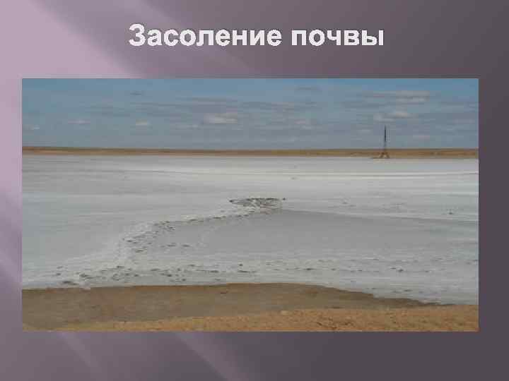 Засоление почвы 