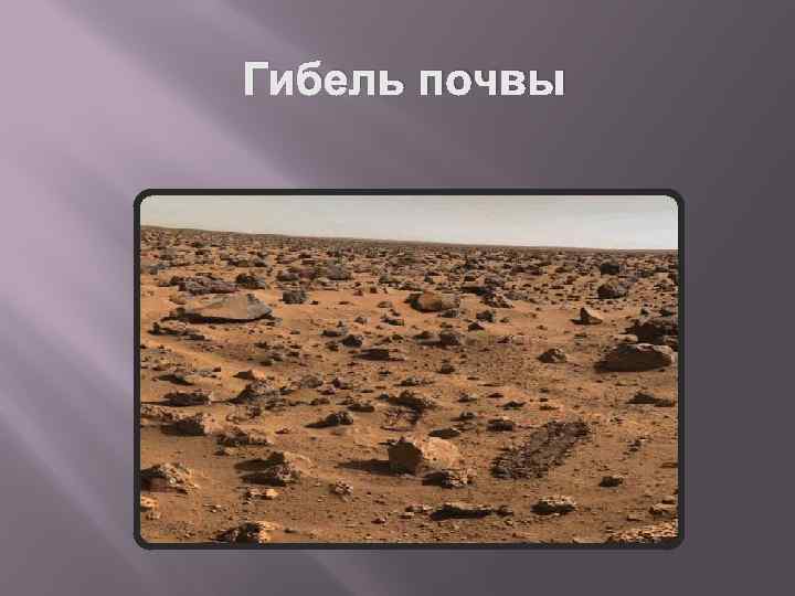 Гибель почвы 