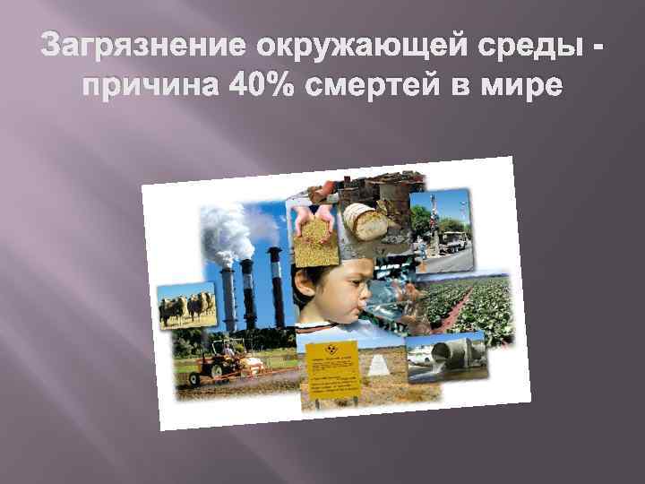 Загрязнение окружающей среды причина 40% смертей в мире 