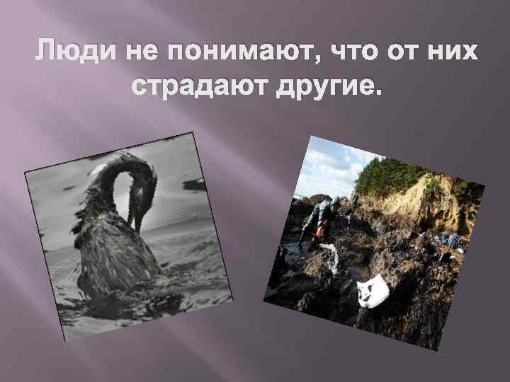 Люди не понимают, что от них страдают другие. 
