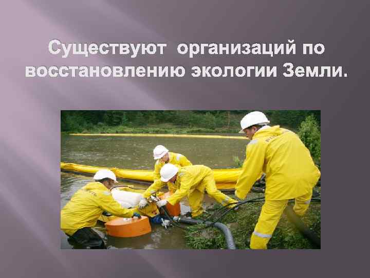 Существуют организаций по восстановлению экологии Земли. 