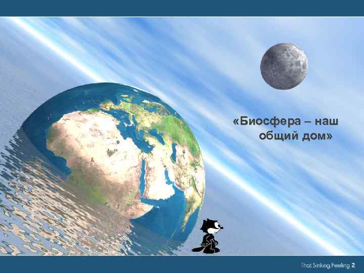  «Биосфера – наш общий дом» 