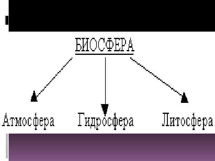 …Сейчас в ней происходит бурный рассвет. Мы знаем только малую частичку этой непонятной, неясной,