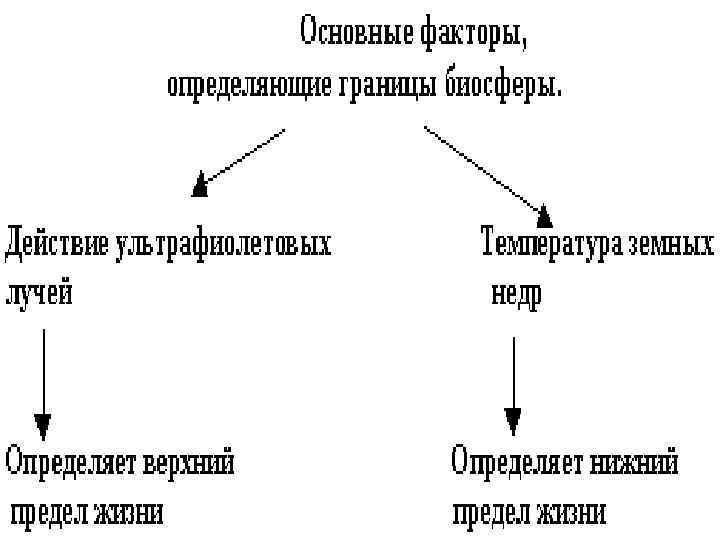 Границы биосферы Верхняя граница в атмосфере: 15 -20 км. Она определяется озоновым слоем, задерживающим