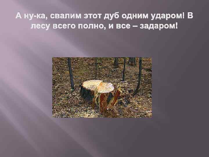 А ну-ка, свалим этот дуб одним ударом! В лесу всего полно, и все –