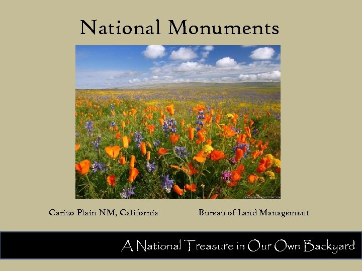 National Monuments Carizo Plain NM, California Bureau of Land Management A National Treasure in