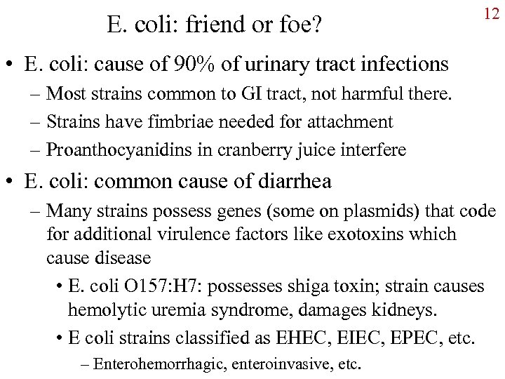 E. coli: friend or foe? 12 • E. coli: cause of 90% of urinary