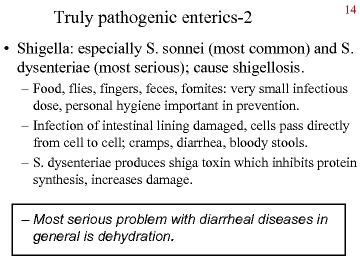 Truly pathogenic enterics-2 14 • Shigella: especially S. sonnei (most common) and S. dysenteriae