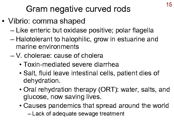 Gram negative curved rods 15 • Vibrio: comma shaped – Like enteric but oxidase