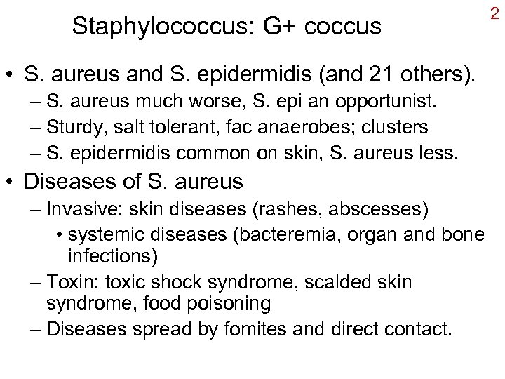 Staphylococcus: G+ coccus • S. aureus and S. epidermidis (and 21 others). – S.